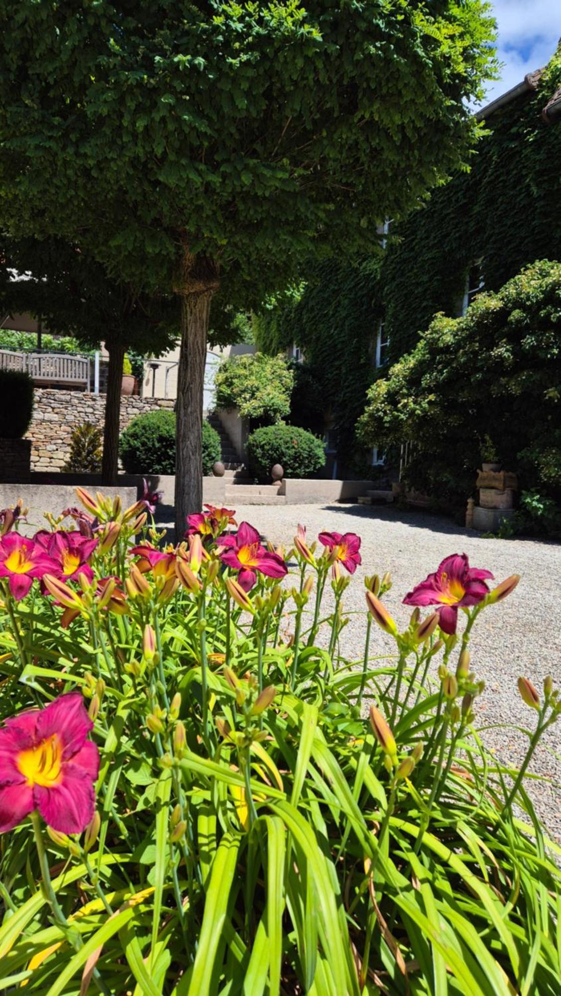 Moulin Renaudiots - Maison D'Hotes Autun Dış mekan fotoğraf