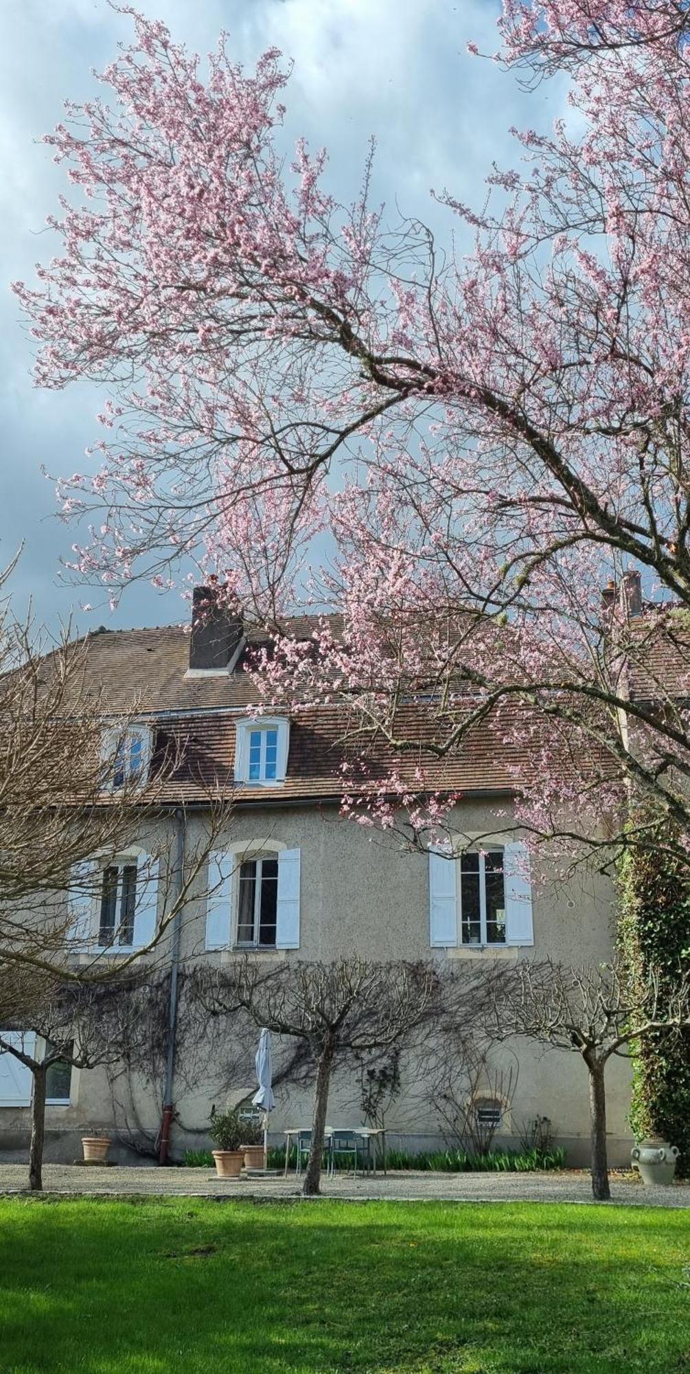 Moulin Renaudiots - Maison D'Hotes Autun Dış mekan fotoğraf